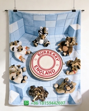 Burberry Throw Blankets